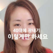 봄철피부관리 광나는피부 연예인관리 각질제거제품추천 [홀리추얼,프리메라]