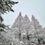 지나가는 줄 알았던 겨울이 되돌아온 설경 구룡산 구룡공원