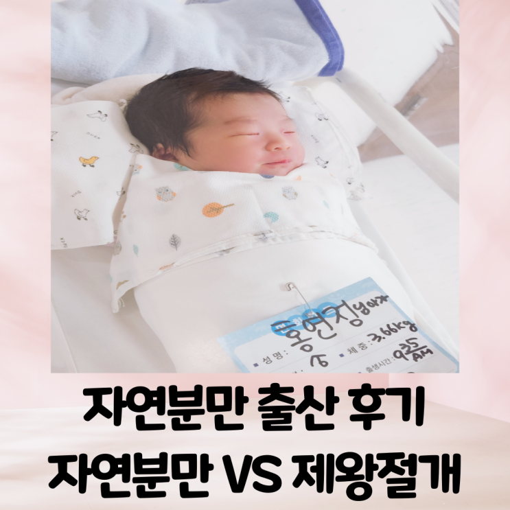 자연분만 출산 후기 장단점 비교해 보기 : 네이버 블로그