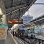 8박 9일 일본 여행 - 일본 마츠야마 여행 2023년 11월 4일 (1)