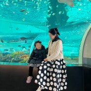 부산 아이와 함께 가볼만한곳, 부산 영도 국립해양박물관 방문후기
