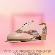 Tap shoes (67)