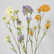 실크플라워 트라켈리움 석모초 조화꽃 가지 85cm, 별꽃 켈리온