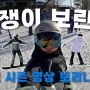 23/24 시즌 스노우보드 입문🏂ㅣ휘닉스 파크 보린이 브이로그ㅣ낙엽, 비기너 턴 연습ㅣ부츠 보아, 와이어 교체ㅣ새해 카운트 다운