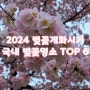 2024 벚꽃 개화시기 국내 벚꽃 명소 TOP 6