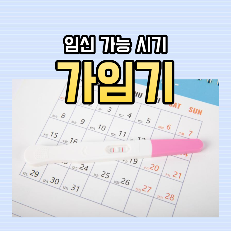 가임기 계산기 배란일 계산법 가임기 임신 확률 : 네이버 블로그