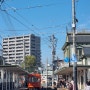 8박 9일 일본 여행 - 일본 마츠야마 오사카 여행 2023년 11월 5일 (5)