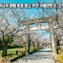 일본 나가사키 여행 벚꽃 명소 추천 가볼만한곳 오무라 공원