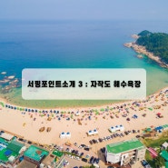 서핑 포인트 소개 3 : 자작도 해수욕장