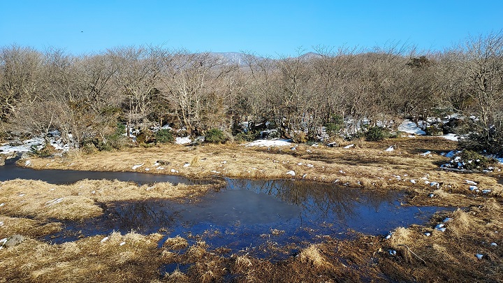 아직은 한겨울, 1100고지 습지