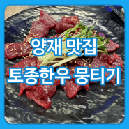 서울 양재 맛집 토종한우 뭉티기 정육식당, 소고기 육회 삼겹살 오겹살 회식으로 딱인 메뉴