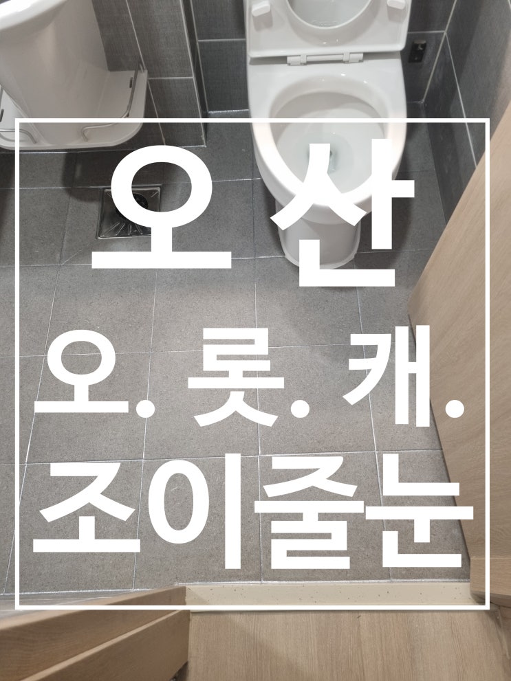 오산롯데캐슬 스카이파크 대표 시공 사진
