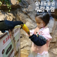 영등포 타임스퀘어 주렁주렁 할인 실내동물원 서울 아이와 가볼만한곳