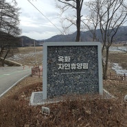 청주 옥화자연휴양림 캠핑장 사이트 소개