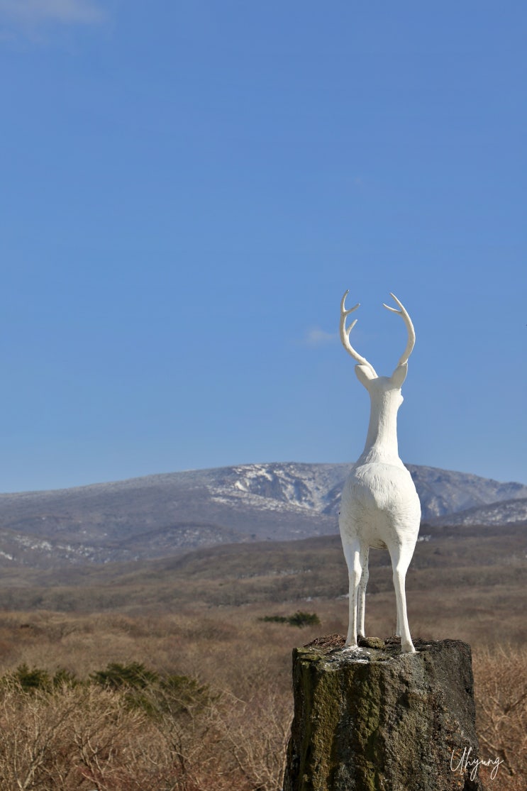 제주도 1100고지, 한라산 제일 높은 휴게소