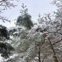 울산 눈구경 할 수 있는 곳 ‘동대산’ 설경 위치와 주차 정보