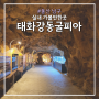 태화강동굴피아 : 울산 남구 실내 아이와 가볼만한곳 추천 주차장 입장료