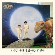 국립중앙박물관 7살 아이랑 뮤지컬 '공룡이 살아있다' S석 관람했어요