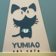 [호주일상] 시드니 고양이 카페 방문기