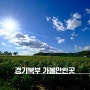 경기 북부 가볼만한곳 : 포천 연천 파주 서울근교 당일치기 여행