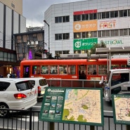 아기랑 마쓰야마(마츠야마)2박3일. 마쓰야마공항, 오카이도, 비스타호텔,도미밥 카도야