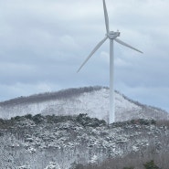경주 풍력발전소 부산 울산 눈 구경 할 만한 곳