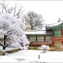 (2월 22일) 모처럼 눈이 펑펑 내렸던 날, 창덕궁의 설경