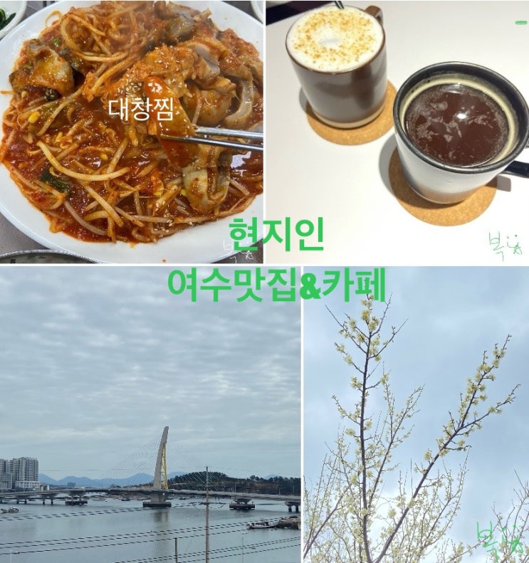 대창찜|여수가치커피|동동공원|디카페인뜨아|꺄름투어_여수