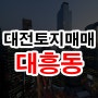 대전토지매매 대흥동 대도로변 나대지 신축추천 58평 급매물