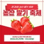 2024년 논산 딸기축제 일정(헬기체험 신청 접수)