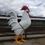 「Maust's The Ranch Egg & California Poultry」 뒤에서 날아오는 화살... 그들의 숙명