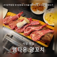사당 맛집 :: 램타운양꼬치 단 체모임 하기 좋은 양꼬치집 사당역밥집