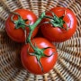 [정보] 토마토의 효능과 부작용 대해서 알아봅시다