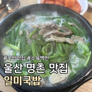 울산 명촌 돼지국밥 수육백반 맛집 추천 :: 일미국밥 ::