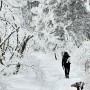 [충남 가야산 3+1 등산] 옥양봉-석문봉-가야봉-원효봉에 펼쳐진 겨울 왕국
