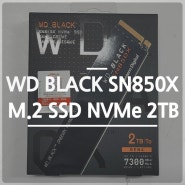 WD SN860X 2TB NVMe M.2 SSD 교체 후기