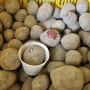 씨감자/판매하는곳 /감자재배방법