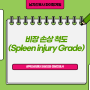 비장 손상 척도(Spleen injury grade 1,2,3,4,5)