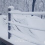 [아산여행] 캠프그라운드 화온 겨울장박 10주차, 에어텐트의 운명은?!