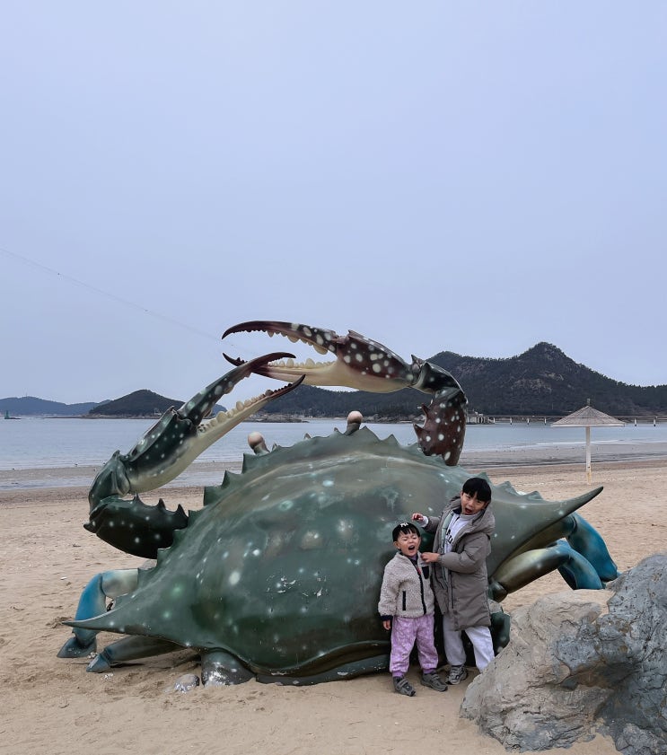 추운 바람 맞으며 선유도해수욕장 대왕꽃게 만나기