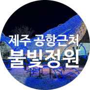 [제주 공항근처] 불빛정원 후기 제주도 제주시 포토존