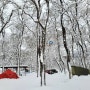 미락숲 캠핑/눈캠핑/미지의숲/설캠/무료캠핑/눈속캠핑