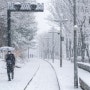 서울 눈내리던 날 / 화랑대 철도공원 설경