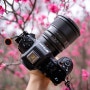 Viltrox Pro 27mm F1.2 Z Lens Review / 빌트록스 27mm F1.2