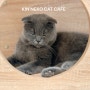 [호치민카페] 고양이 카페 KIN NEKO CAT CAFE. 타오디엔 캣카페 킨네코. 아이와 함께하는 호치민생활. 아이와 호치민여행. 호치민고양이카페. 호치민 아이와 갈만한 곳