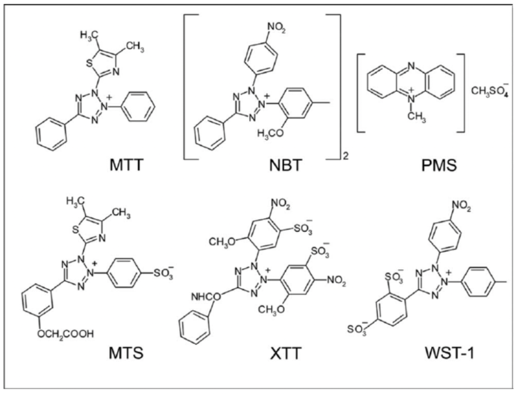 [세포독성/증식] MTT, MTS, WST-1, CCK-8 assay : 네이버 블로그