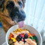 그라나타펫 가든믹스 강아지 반려견 야채과일 비건습식캔 추천 (노령견,알러지,피부)
