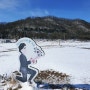 [강화산행] 교동도 수정산(126m) 겨울산행 & 난정해바라기정원 겨울풍경