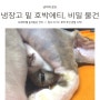 냉장고 밑 호박에티, 비밀 물건