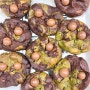 말차초코쿠키 초코나무숲 쿠키 만들기 레시피